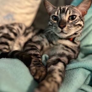 Meet your Posher, Timothy